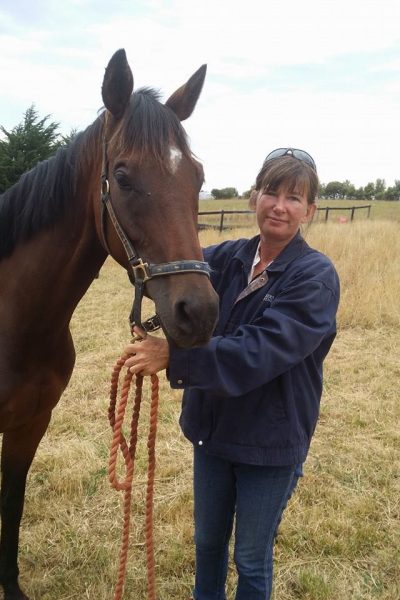 Bowen Therapy for horses