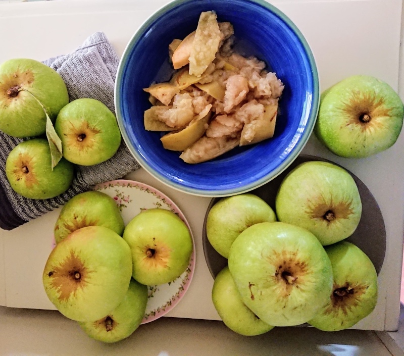 https://michelineandrews.com.au/wp-content/uploads/2020/04/Stewed-Apples-for-Gut-Health.jpg