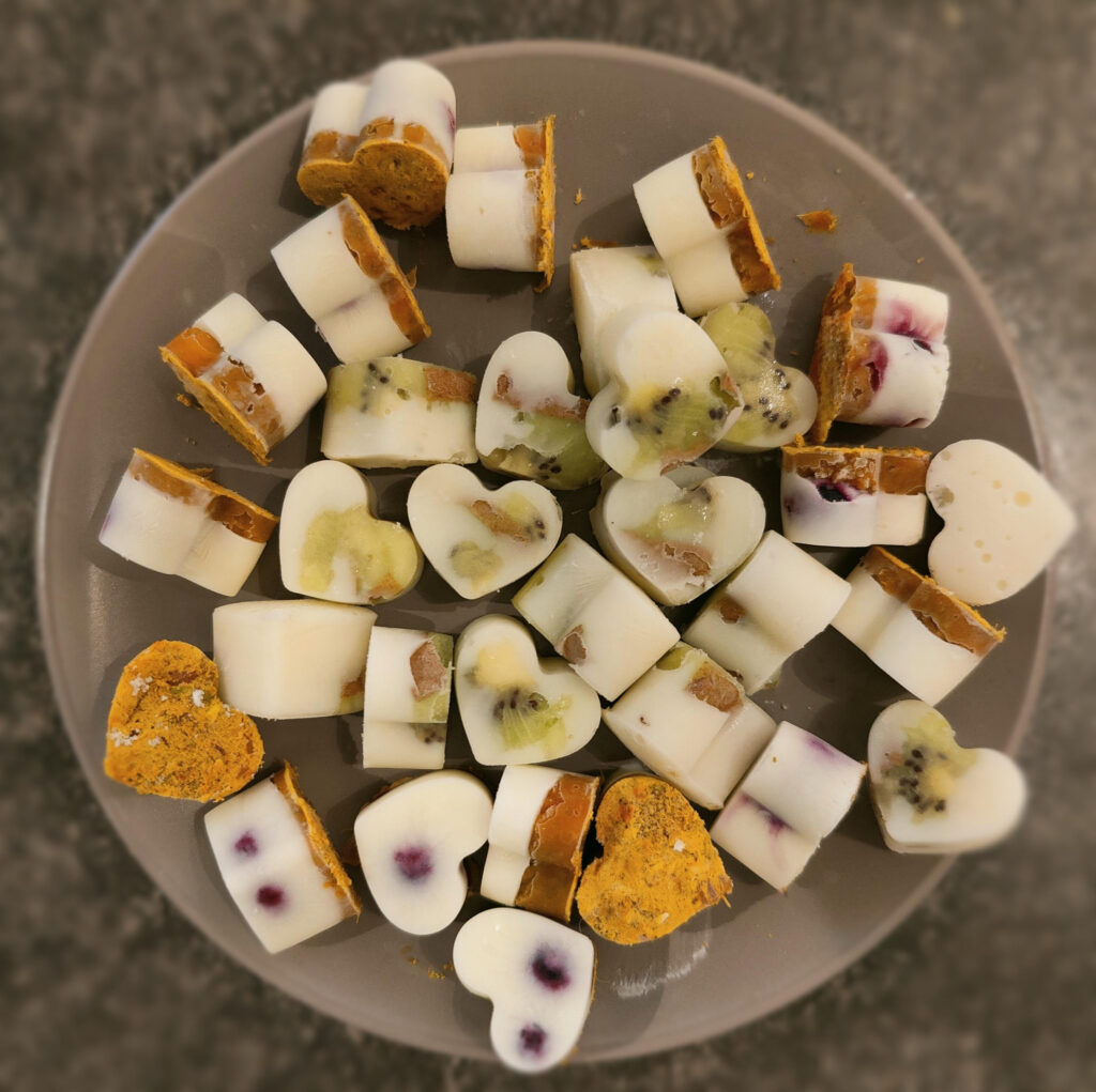 Frozen Dog Treats with Broth Pupsicles